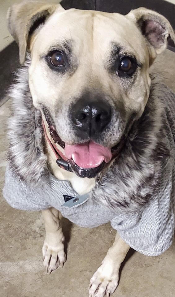 missy-in-winter-coat