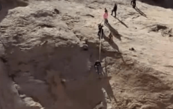 Utah ATV riders rescue dog who slipped off of steep cliff