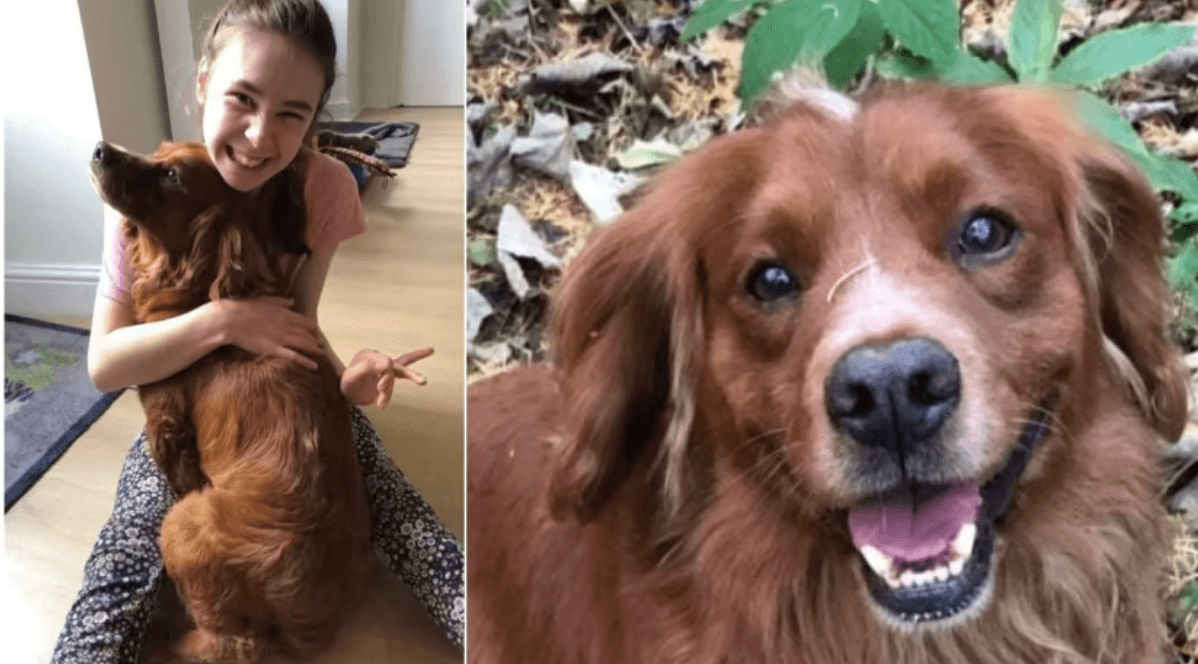 Reunited: Stolen dog belonging to teen with cerebral palsy returned