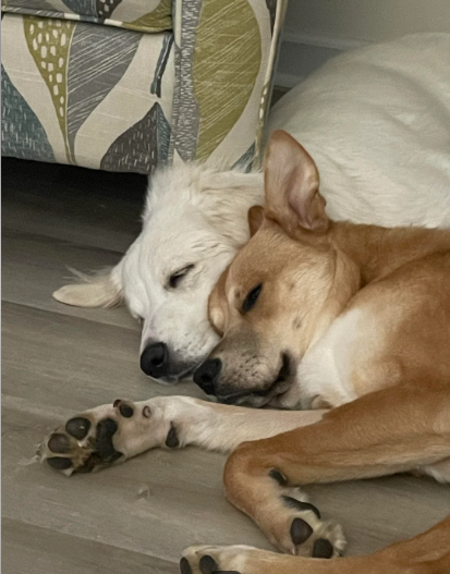Mom and son adopted together