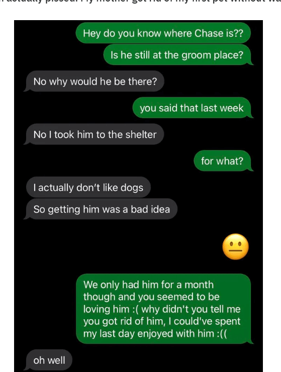 mom-returns-dog-1-1