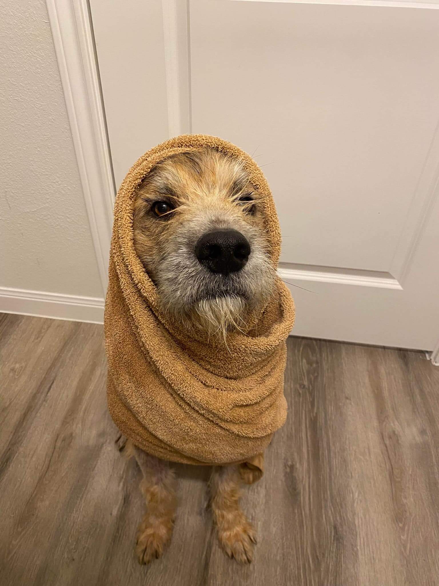 Moose ready 3