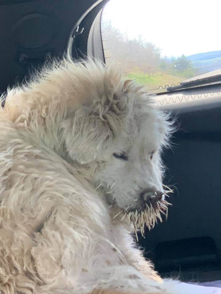 murdock-and-margaret-2