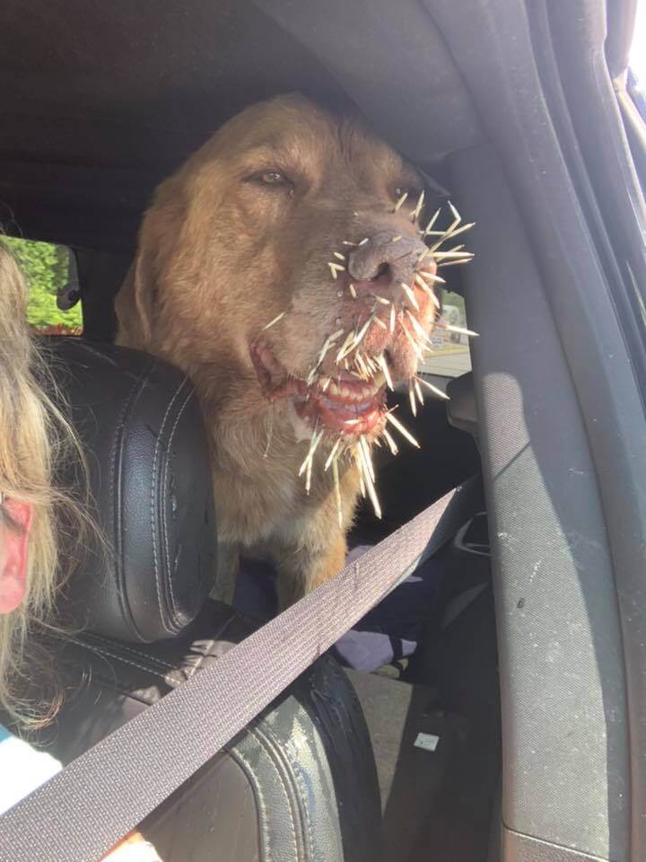 murdock-and-margaret