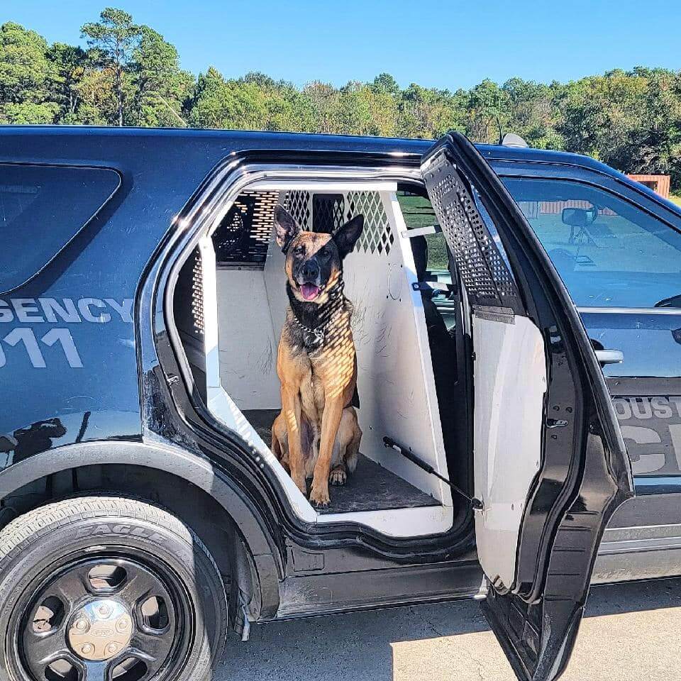 Houston man arrested as person of interest in his father’s death and stabbing Houston Police Department K-9 officer