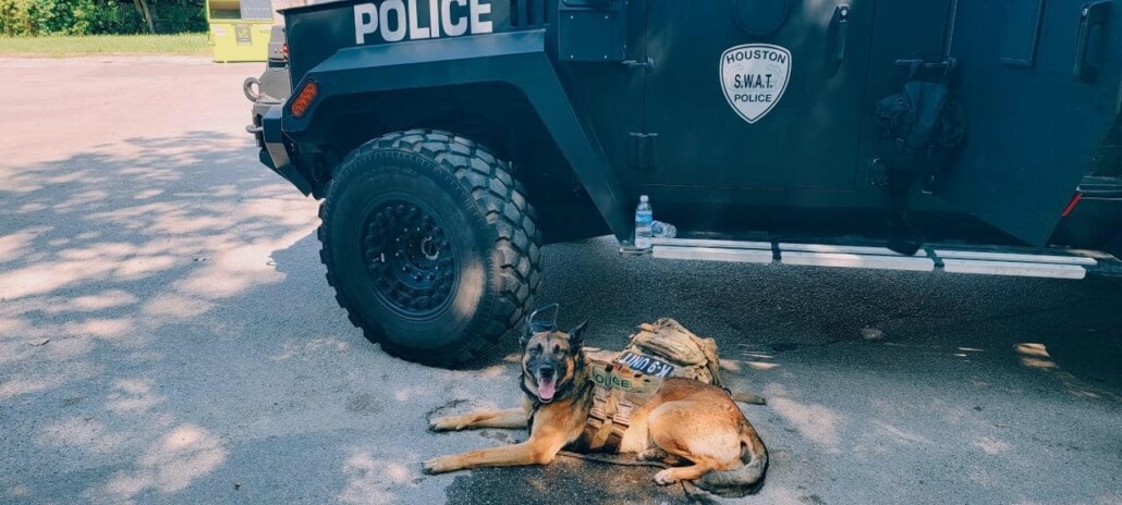 nate-k91-1030x464-1