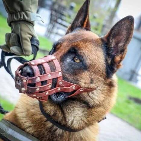 national-guard-ukraine-3