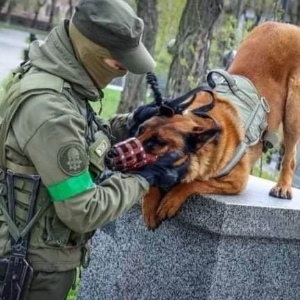 national-guard-ukraine2