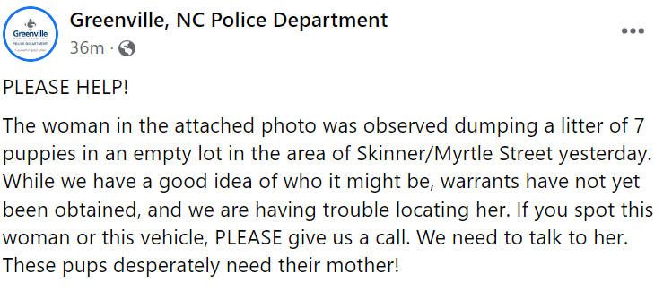 nc