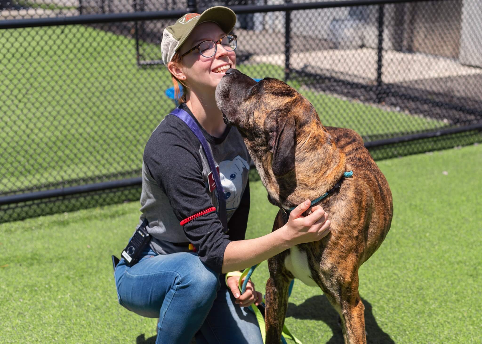 Lost dog on the run for a month safely captured and back at Animal Refuge League