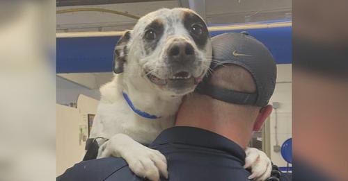 500 days in a shelter and this once terribly abused pup finds his forever home