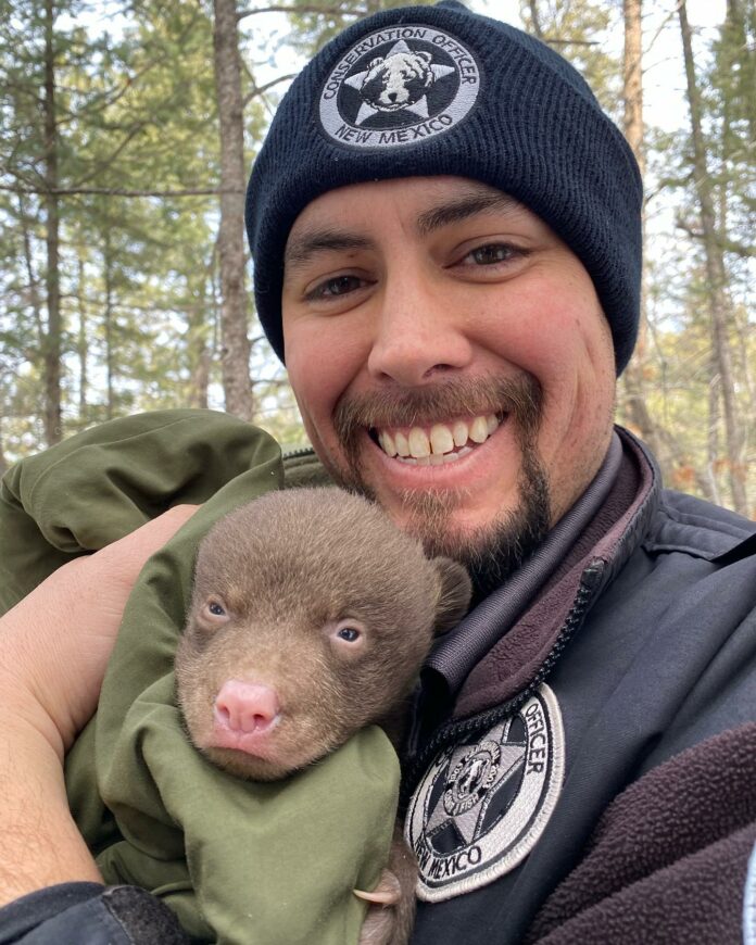 New Mexico hiring professional ‘bear huggers’