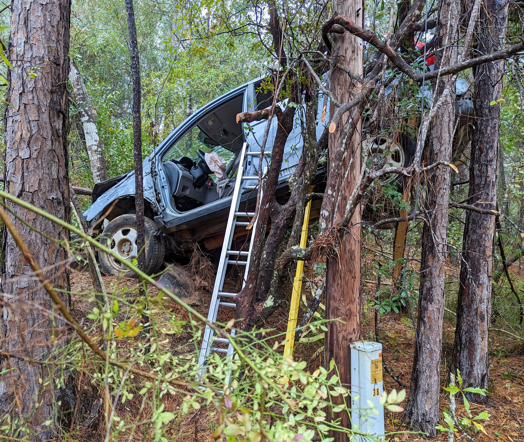 Woman and her dog rescued after her vehicle crashed and became stuck in a tree