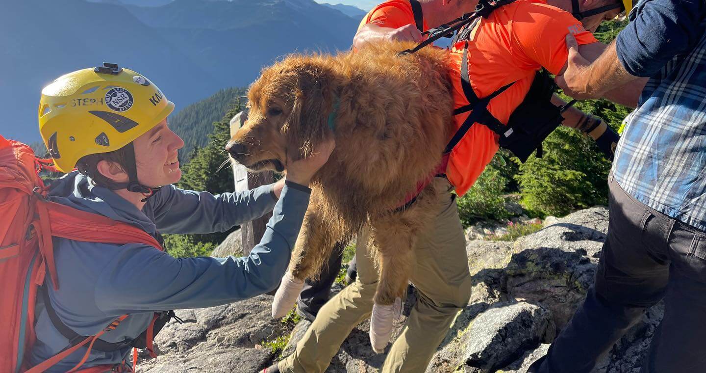 Rescuers help 100+ pound dog with hurt paws from steep hazardous camping trail