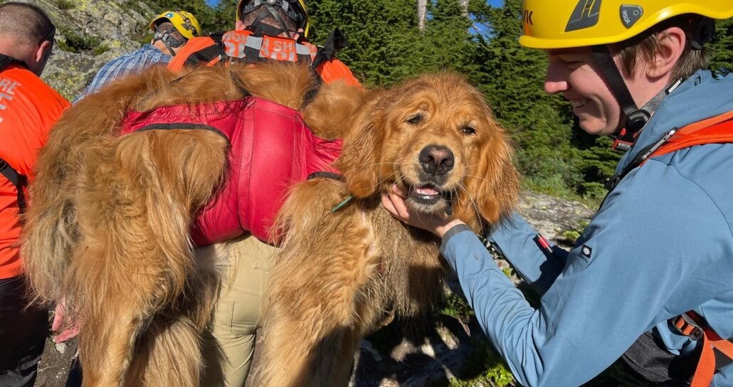 north-shore-rescue1-1030x544-1