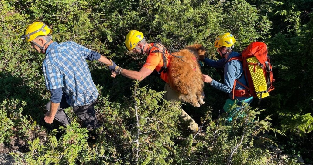 north-shore-rescue2-1030x544-1