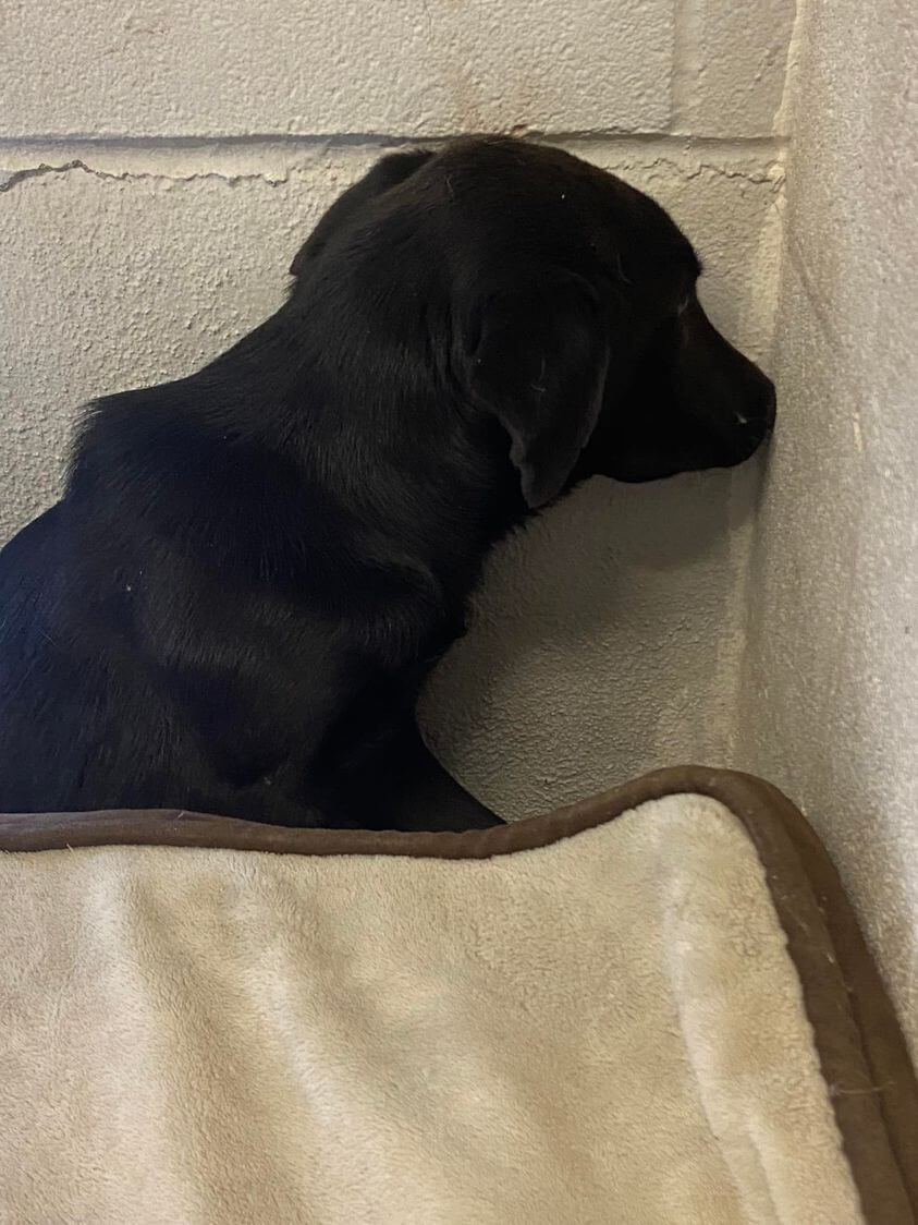 What must life to like to feel this scared and utterly abandoned