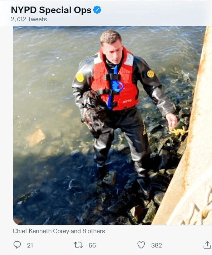 NYPD Special Ops rescue puppy who fell into East River escaping from dog attack