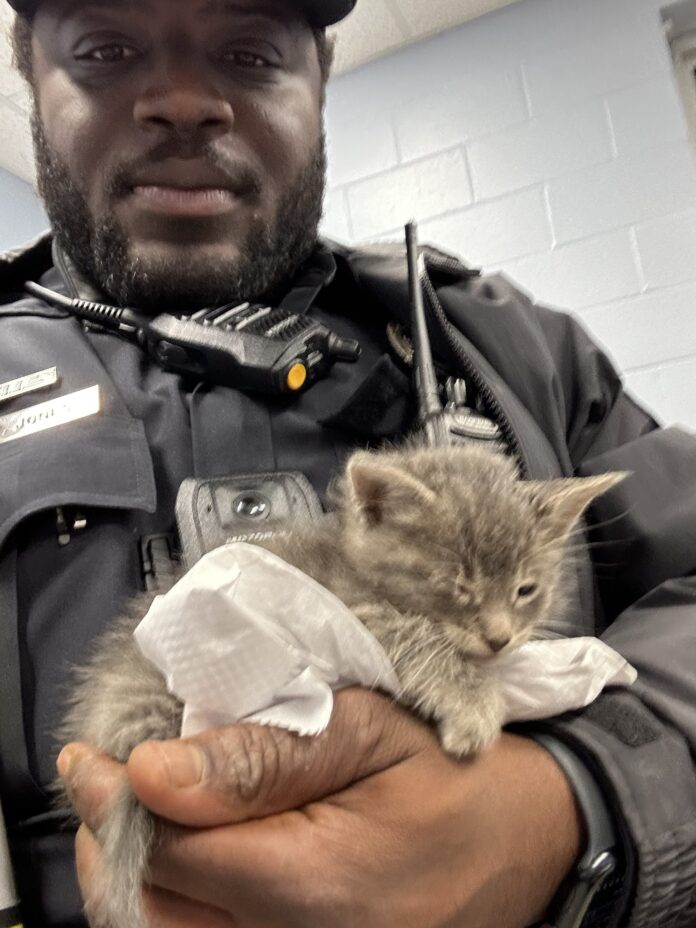 Off duty police officer rescued kitten from dumpster and then adopted him