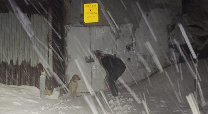 Ogden officer braved snowstorm to rescue dog in ‘distress’