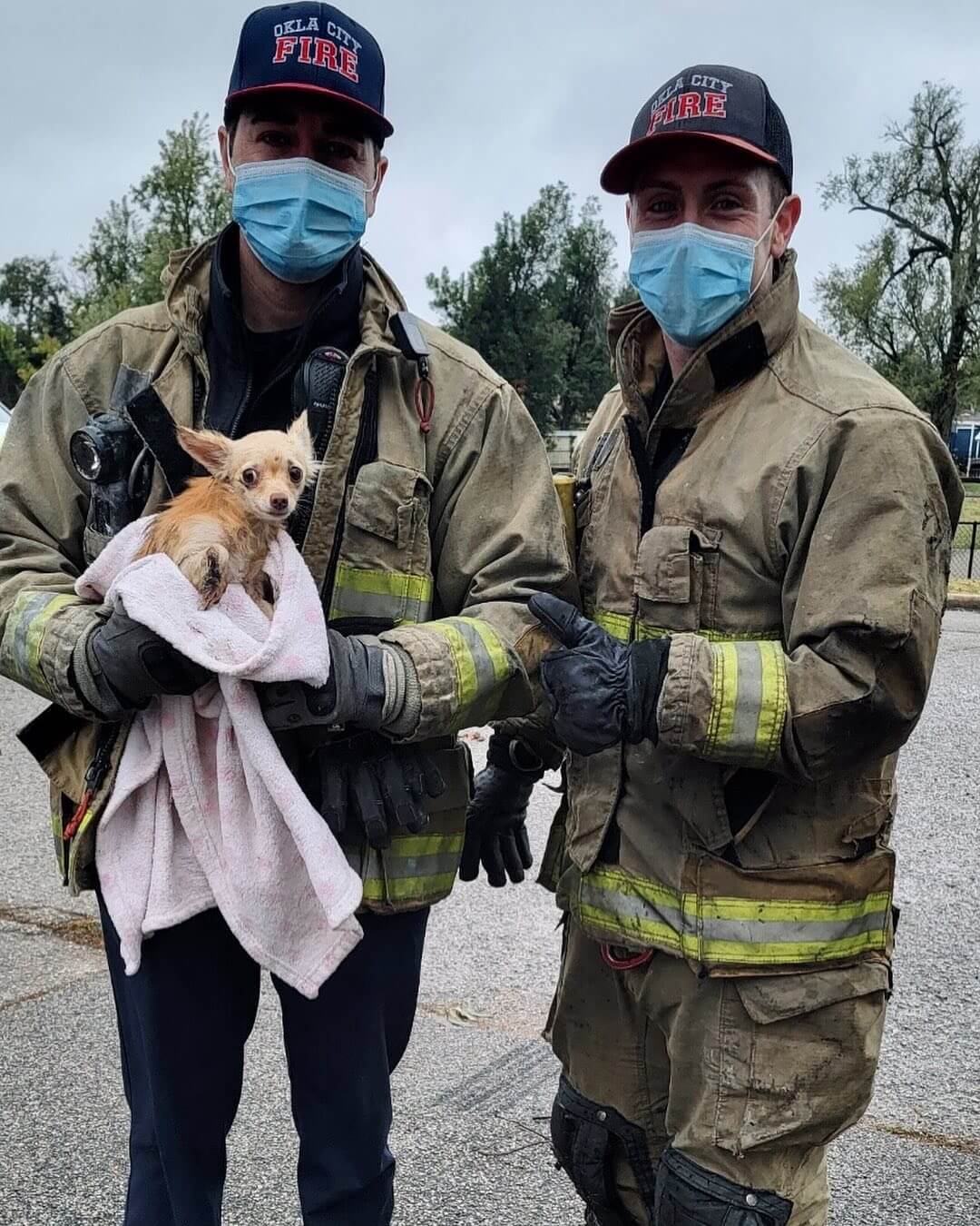 Oklahoma firefighters rescue tiny dog stuck in storm drain for days