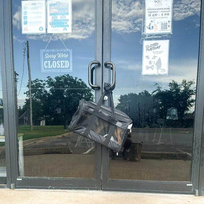 Tiny chihuahua left in carrier hanging from Oklahoma’s shelter front door