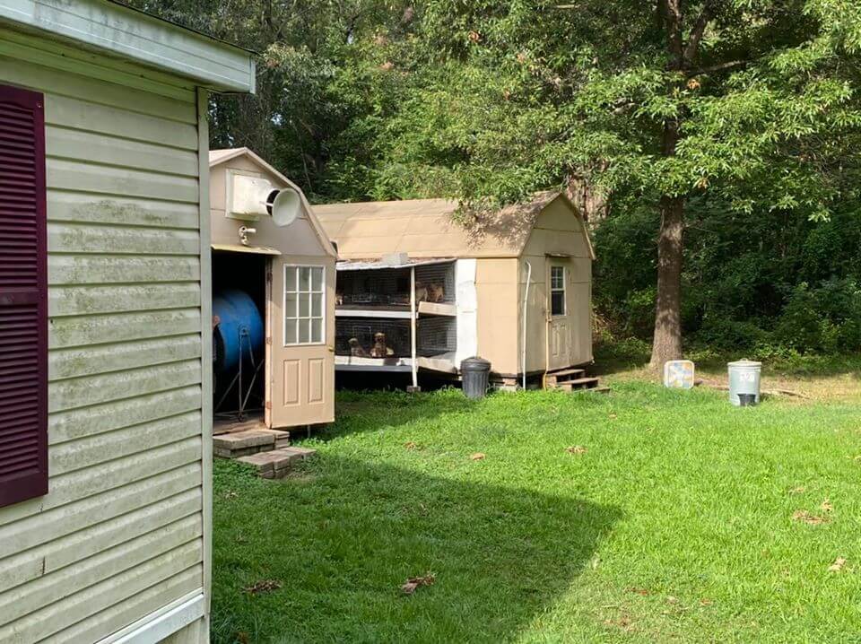 oklahoma-puppy-mill5