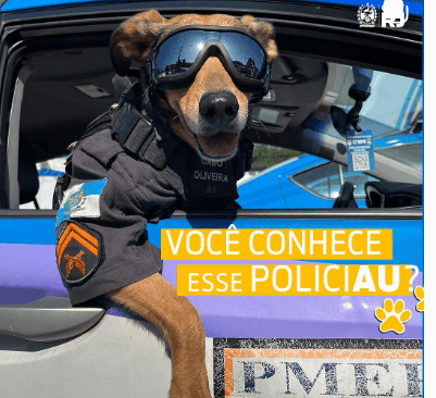 oliveira-police-dog-1-1