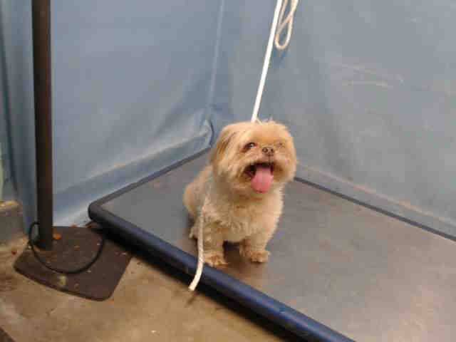 oliver-a5326846-2