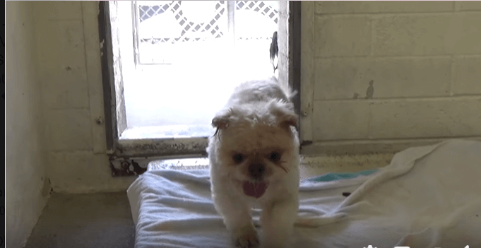 oliver-a5326846