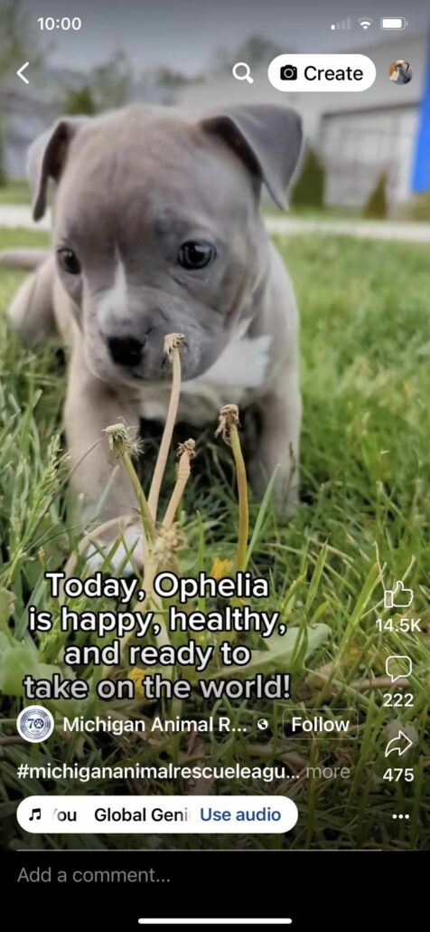 ophelia7-476x1030-1