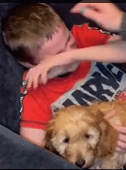 Oscar and new puppy