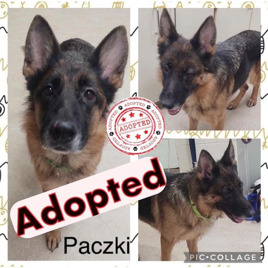 paczki2