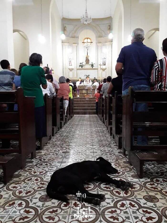 padre-joao-paulo