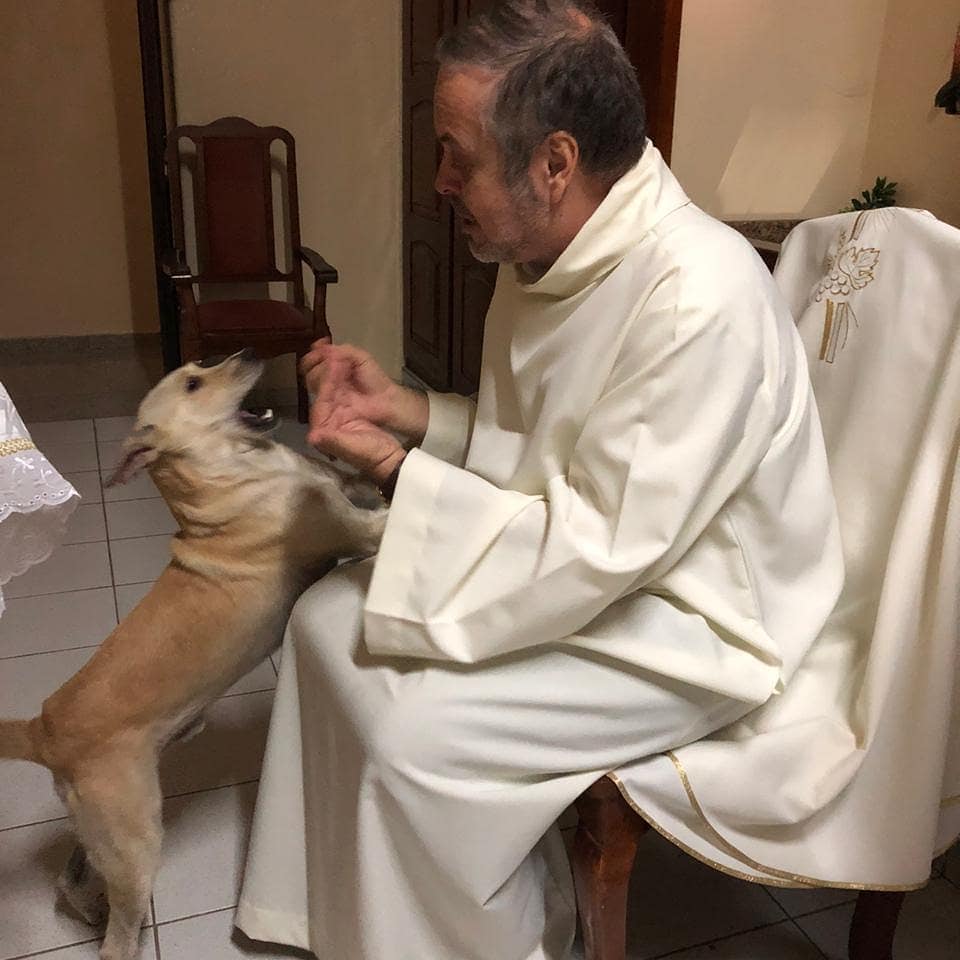 Brazilian priest brings stray dogs to masses to help them find homes