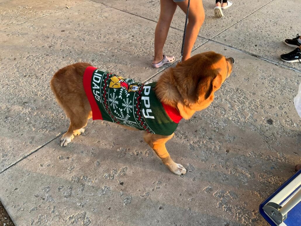 pawlidays2-1030x773-1