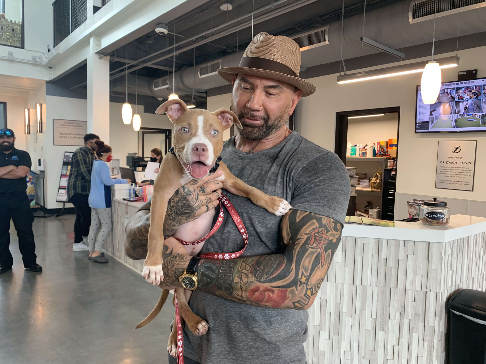 WWE wrestler and superhero actor adopts once neglected puppy with metal chain embedded in her neck