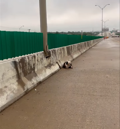 penny-lane-1