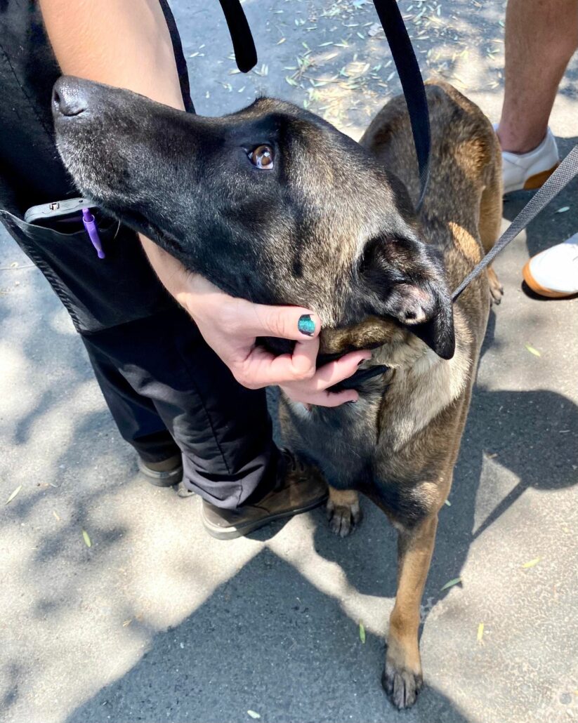 penny-needs-help-1-823x1030-1