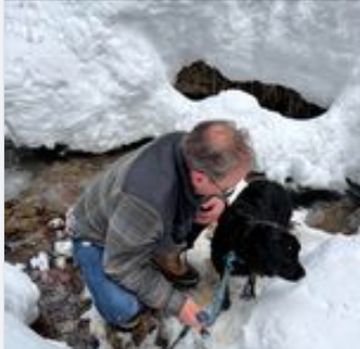 Determined Colorado owner’s dog hunt ends in surprising twist