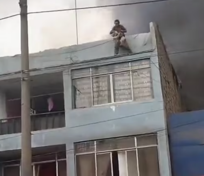 Homeless man in Peru rescued 25 dogs trapped on roof next to recycling plant on fire