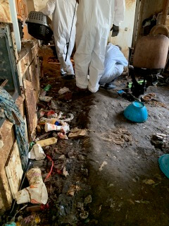 pointe-coupee-parish-large-2