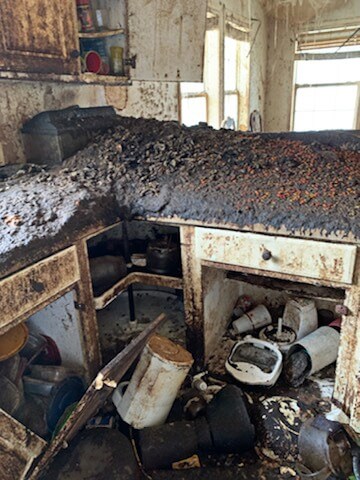 Heartbreaking hoarder case finds dozens of animals living in misery