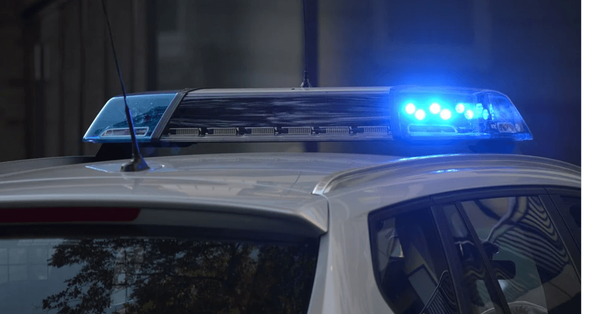 Ada County K9 dogs stabbed by man involved in fatal shooting