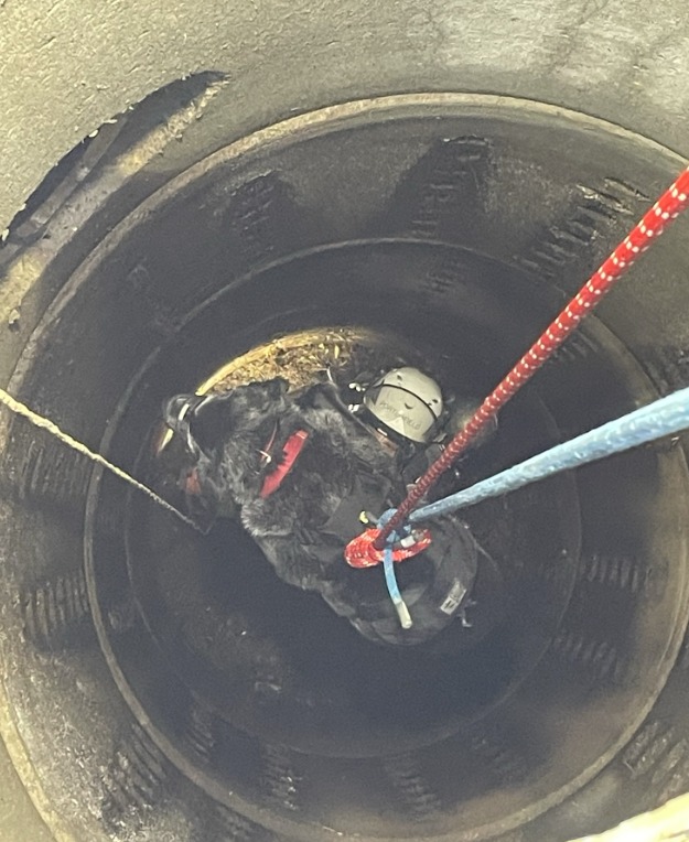 Elderly dog survives unscathed after falling 23 feet down drain looking for treats