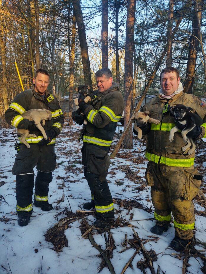 Firefighters rescued 5 puppies from early morning Muskegon home fire