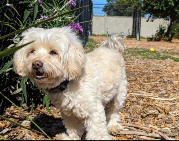 prince-a302297-1