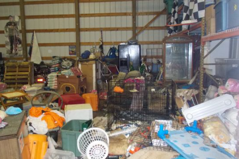 Former Ohio rescue owner sentenced to prison after 90 dogs found in awful conditions