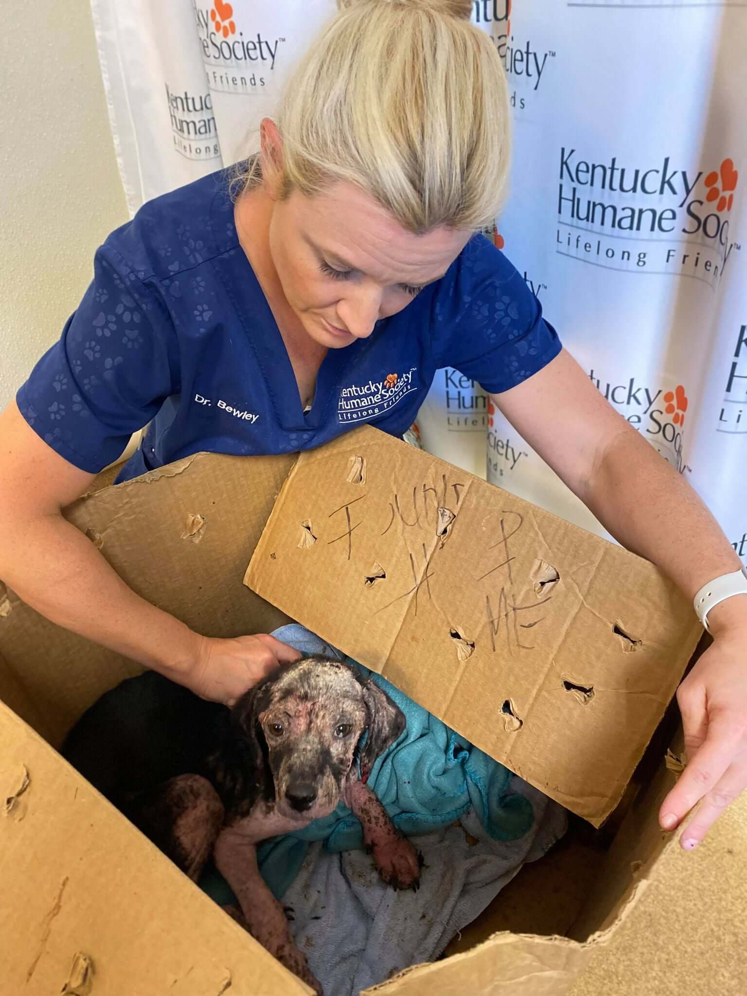 Puppy dumped at Kentucky Humane Society in sealed cardboard box has taken a turn for the worse