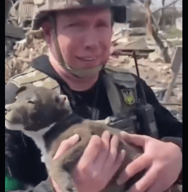 puppy-donetsk-2
